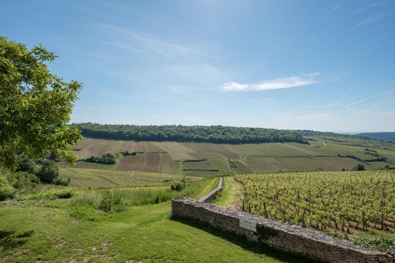Chez Joseph - Au Coeur Des Vignes De Saint-Romain Buitenkant foto